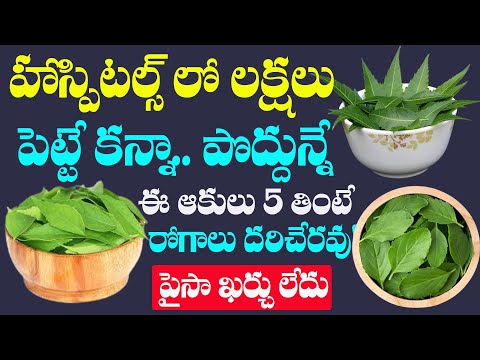 హాస్పిటల్స్ లో లక్షలు పెట్టే కన్నా..పొద్దున్నే ఈ ఆకులు 5 తింటే రోగాలు దరిచేరవు!
