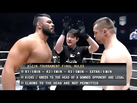 Amir Aliakbari (Iran) vs Mirko CRO COP Filipovic (Croatia) | KNOCKOUT, MMA fight HD, 60 fps
