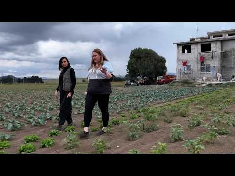 A Day in Our Life Living in Mexico❤️🇲🇽❤️Behind the Scenes/Drone Footage: Interview at Our Homebuild 