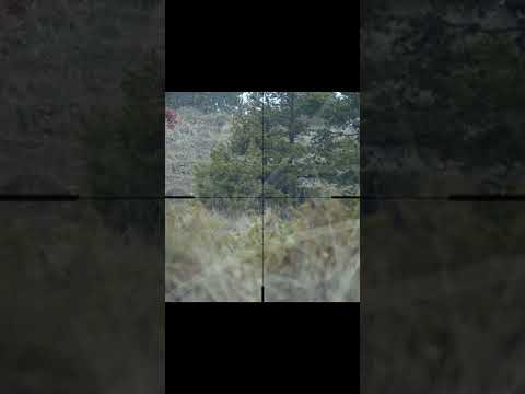 The IMPOSSIBLE Sniper Single SHOT ! #Airsoft