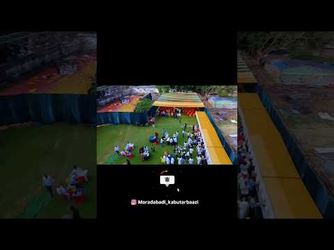 Complete Video Is Out Now'#shorts #pigeon #kabootar #trendingshorts #allahabad #kabutarbazi