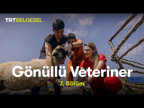 Gönüllü Veteriner | 7. Bölüm | TRT Belgesel