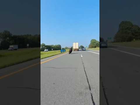 Tractor trailer blow out😬