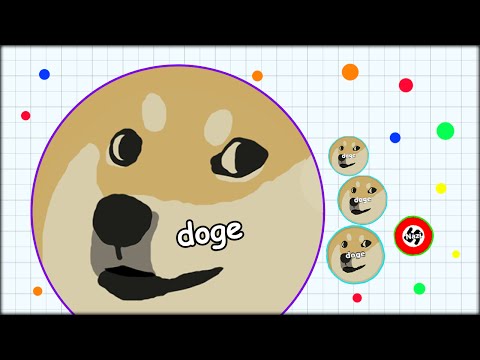 DOUBLE'S MOTHER LIKES MY VIDEOS AND DOGE ON THE LOOSE (THE MOST ADDICTIVE GAME EVER - AGARIO #3)