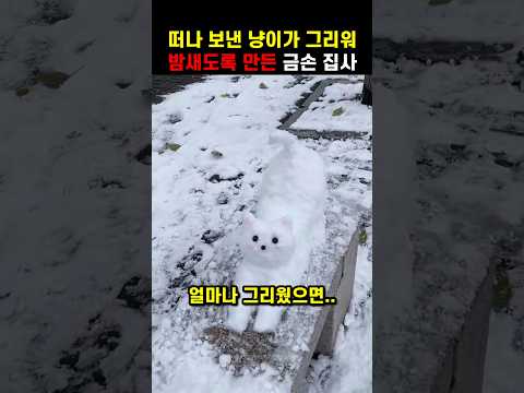 떠나보낸 냥이가 그리워 밤새도록 만든 금손 집사