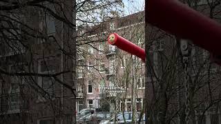 Street Art Frankey on Blue Monday 💙 | I amsterdam