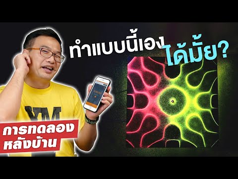 สร้างคลื่นทรายด้วยเสียง!! (ไม่น่าเชื่อว่าจะทำได้)