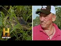 Exploring Deep Swamp Ecosystems