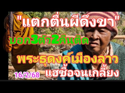 แตกตื่นผีดึงขา พระธุดงค์จากเมืองลาว บอก 3 ตัว 2 คืนติด หาซื้อจนเกลี้ยงแผงแล้ว