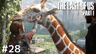 旅の果ての約束｜The Last of Us Part I / ラスアス #28