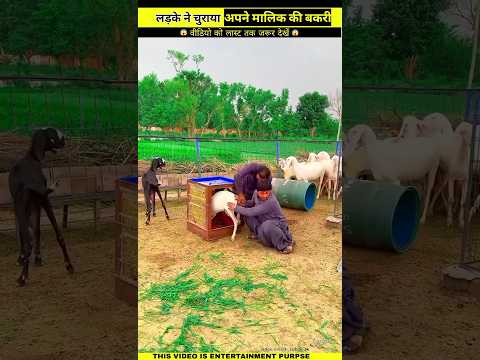 लड़को ने की अनोखी चोरी 😱 Wood working with art handcraft ideas/home madereal talent/skill-art