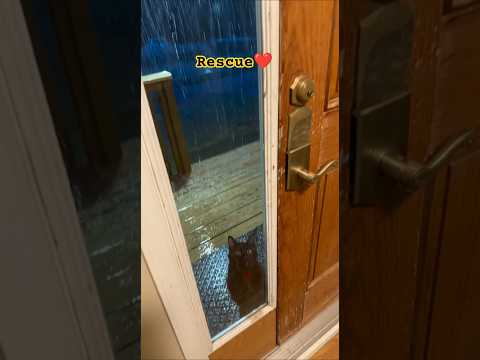 Phillies land All-Star closer Jhoan Duranahead of MLB trade deadline