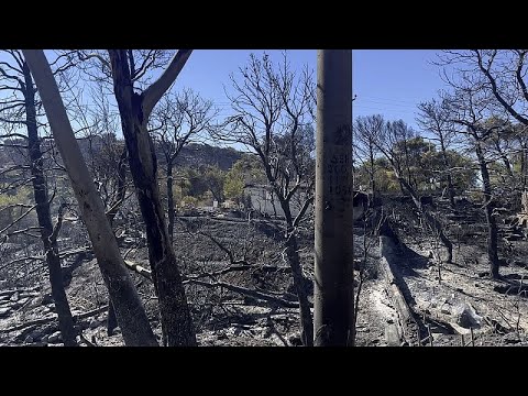 Πυρκαγιά στην Αττική: Kάτοικοι περιγράφουν στο euronews τις δραματικές στιγμές που έζησαν…