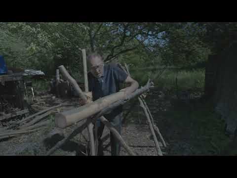 Bruce's Forest Garden: Willow Bark
