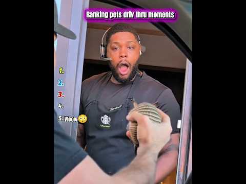 Ranking pets driv thru moments🍟🐶#Shorts#1million#ChaosCrew#PetRanking#PetVlogs#AmericanOdiyans