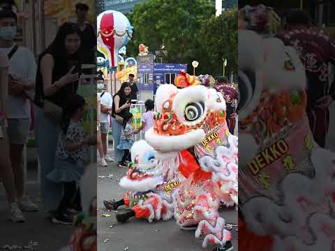 Exciting Lunar New Year Carnival & Celebrations at Bay Spring Carnival!