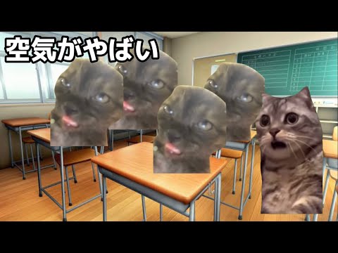 【猫ミーム】高校受験の時