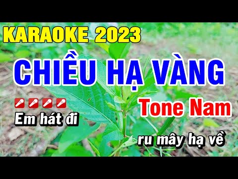 Karaoke Chiều Hạ Vàng Nhạc Sống Tone Nam Beat Chuẩn | Hoài Phong Organ