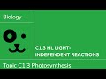 Calvin Cycle and Photosynthesis Concepts