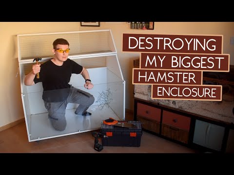 This Hamster Cage was a Mistake