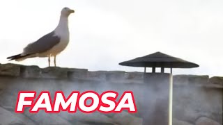 FAMOSINHA DA CHAMINÉ DO CONCLAV |Prensadão Guto TV #humor #animaisdublados