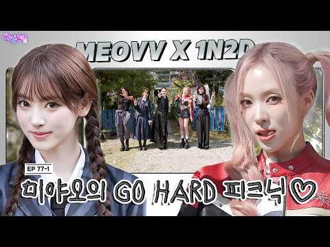 [SUB] EP.77-1. MEOVV | 베스트프렌드 이름 대기 (돌박이일 : 미야오! 미야오!) [GO HARD] 투어 1탄🤟[4K]