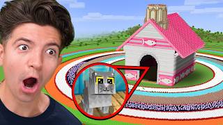 I Built The SAFEST House for my Wife's Cat!