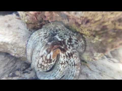 La Locanda Alla Fine Del Mondo