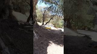 Fui al lugar más aterrador de Jerusalén 😧