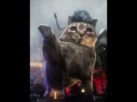 Giant Oiiai Cat #memes #oiiaoiia