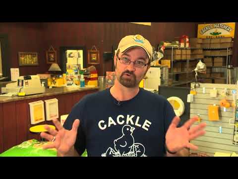 Family Owned & Operated Hatchery | Cackle Hatchery