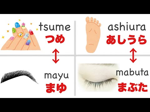 【Hiragana】日本語初心者の為の日本語50選/ 読み方レッスン