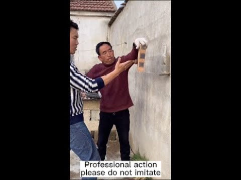 Strongest one inch punch skill BL089 #kungfu