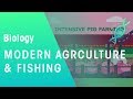 Energy Transfer and Intensive Farming