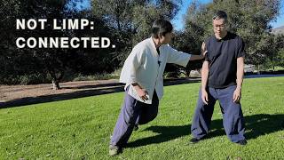 The Tai Chi Secret Most People Get Wrong: Song