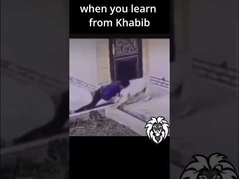 When you learn fighting from Khabib man vs dog #ufc #khabibnurmagomedovufc #motivation #mma #khabib