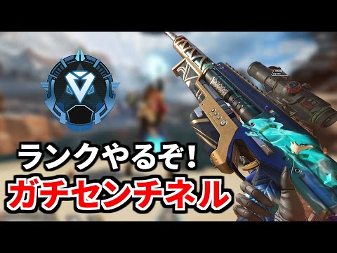 ガチセンチネルでランク マスターまでもうすぐ！ | TIE Ru, J0hn,ぐっちゃん | Apex Legends