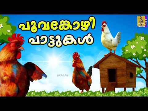 പൂവങ്കോഴി പാട്ടുകൾ | Kids Cartoon Malayalam | Poovankozhi Pattukal #cartoon #animation #kidsvideo