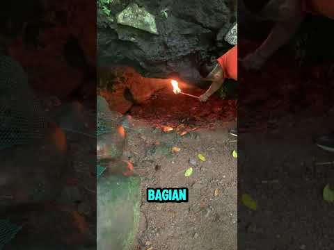 Jangan Masuk Gua Sembarangan #shorts