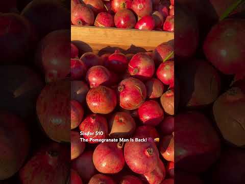 The Pomegranate Man Returns #HarvestTime #Pomegranate #CountryLife #FarmFresh #SeasonalFruits