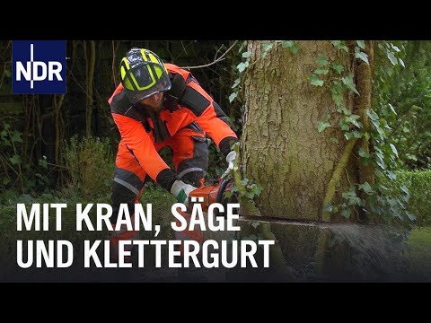 Einsatz nach den Stürmen | Die Nordreportage | NDR Doku