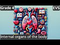 Human Body Systems and Functions