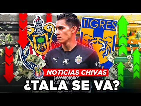 🚨TALA RANGEL *NO* se VA de CHIVAS y TE EXPLICO LA RAZÓN! ¿CHIVAS RECHAZÓ OFERTA? ¿TIGRES OFRECE MÁS?