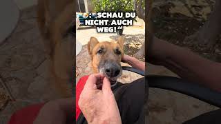 Schau nicht weg! Mehr in der Beschreibung