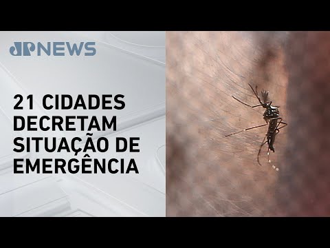 Cidade de São Paulo bate recorde de dengue em 2024