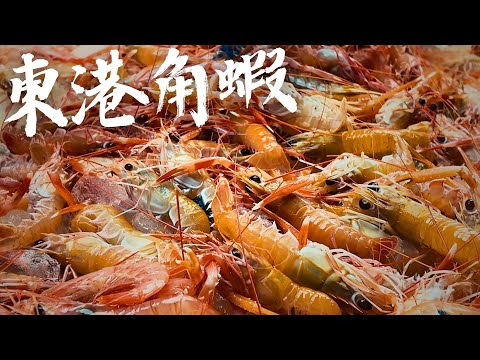 【去你家做生魚片】到華僑市場 前鎮魚市採購 台南會員「上集」