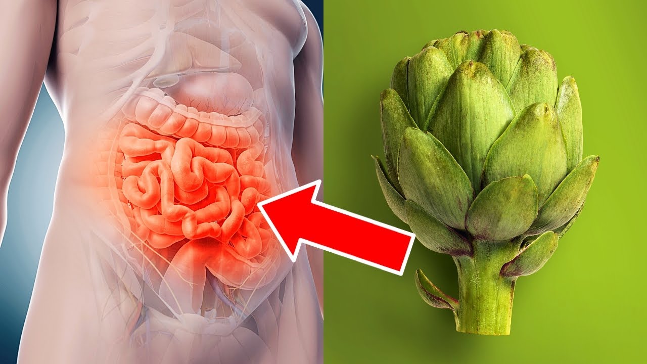 Eat These Foods Every Day to Improve Your Gut Health Naturally