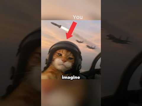 The secret way a fighter's <strong>radar</strong> IDs a jet <strong>that</strong> won't talk