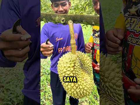 potong tangkai durian😱