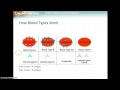 Gene Expression and Inheritance Concepts